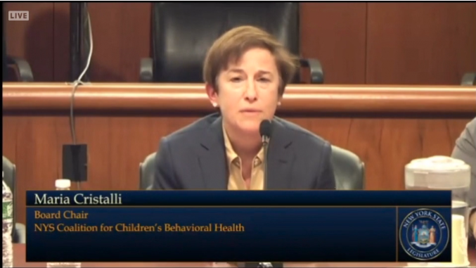Hillside President & CEO Delivers Testimony at State Legislative Budget Hearing